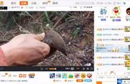 重庆出租车经营权无偿使用